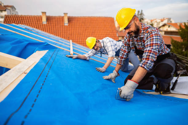 Roof Gutter Cleaning in North Massapequa, NY